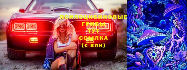 СК Арсеньев