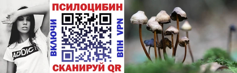 Галлюциногенные грибы MAGIC MUSHROOMS  блэк спрут вход  Вяземский 